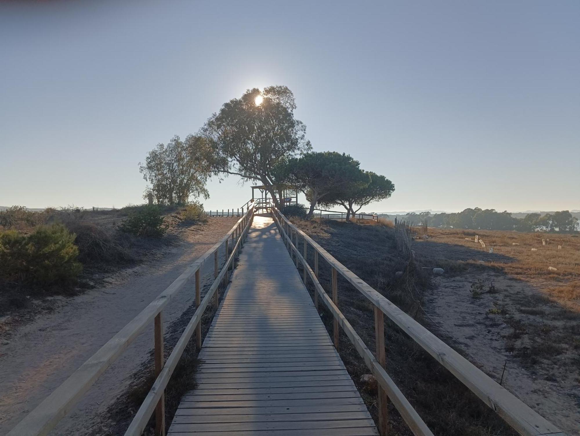 Bonito Apartamento 150 M De La Playa La Mata La Mata  Bagian luar foto