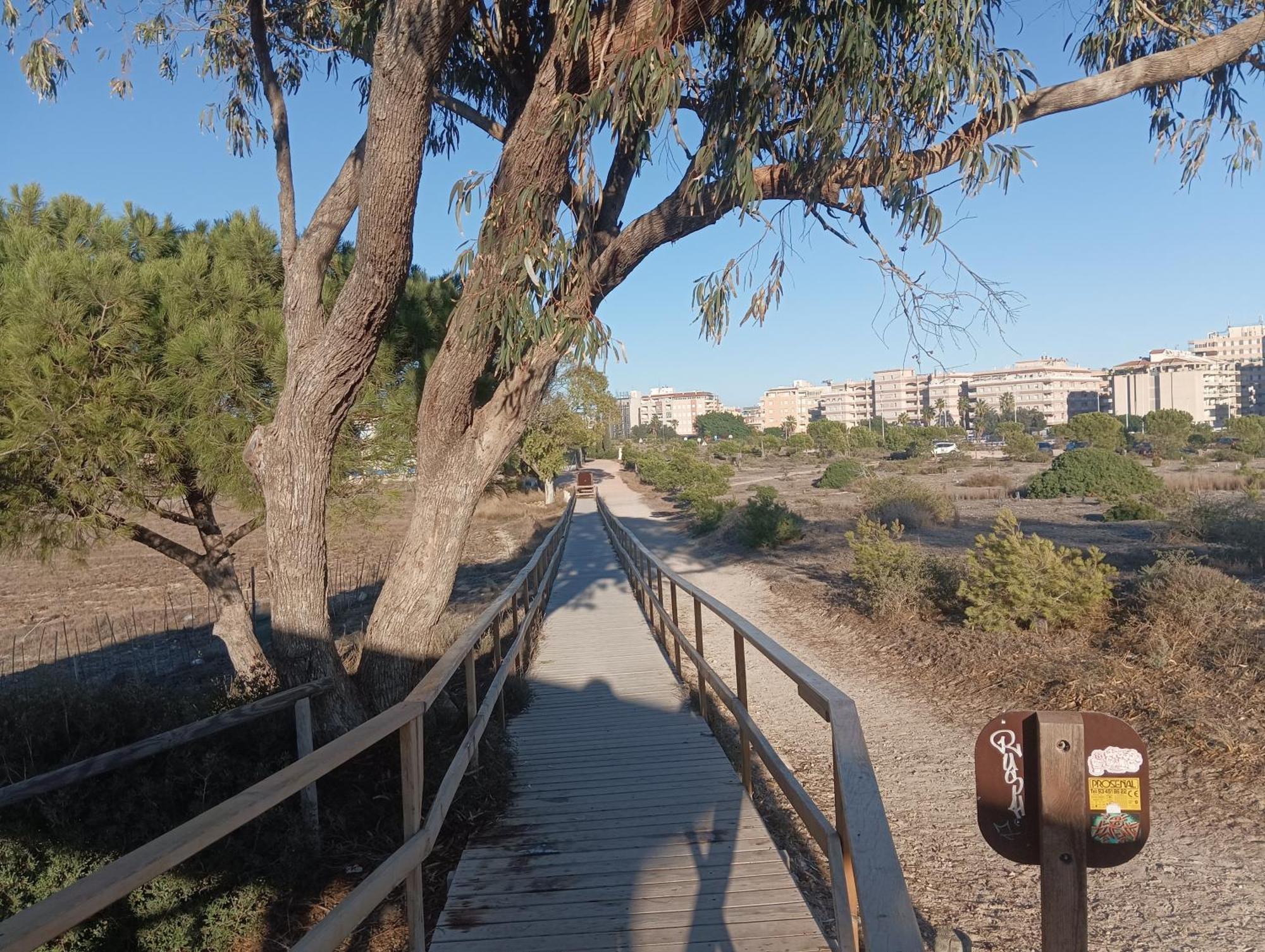 Bonito Apartamento 150 M De La Playa La Mata La Mata  Bagian luar foto