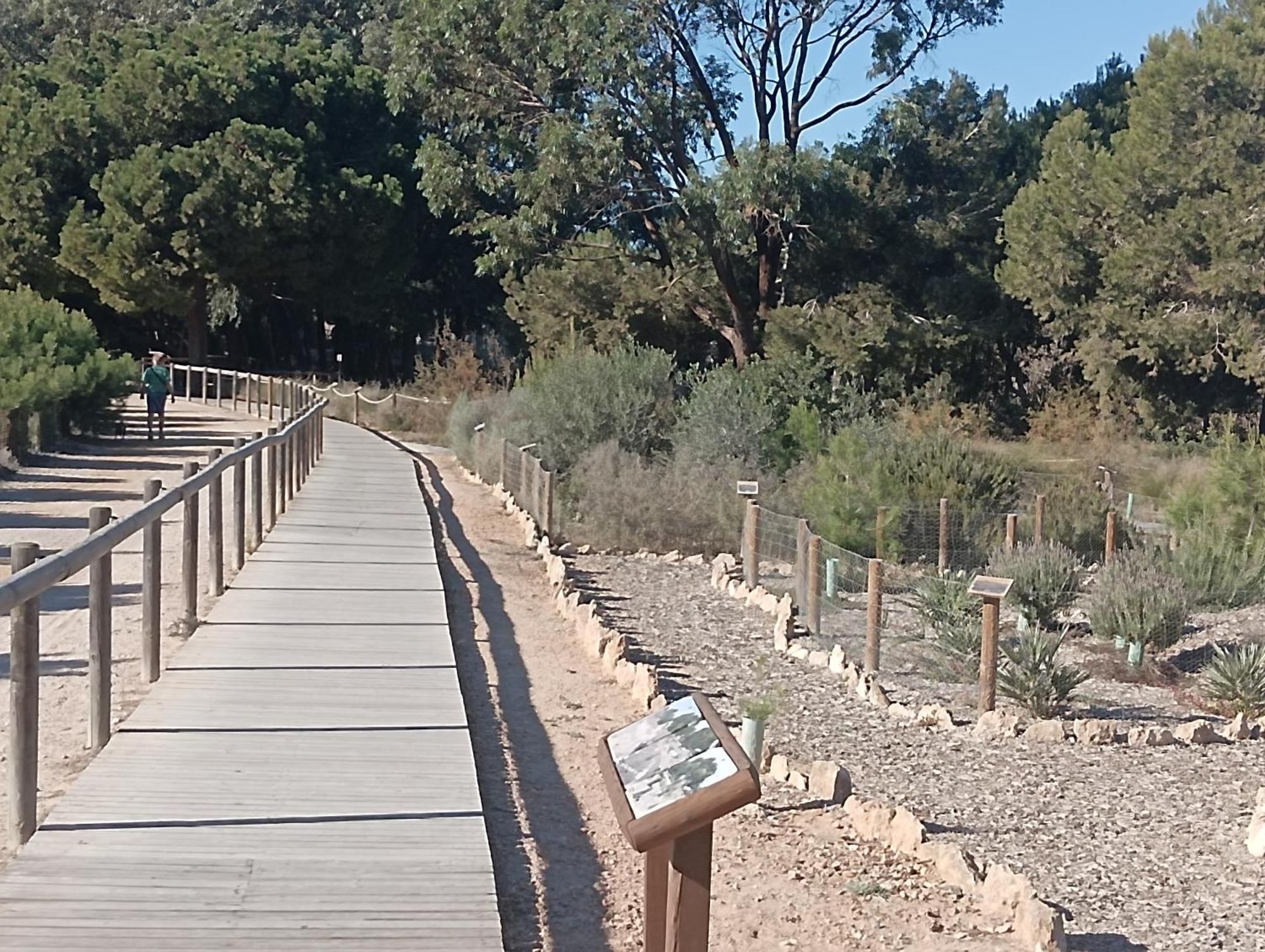 Bonito Apartamento 150 M De La Playa La Mata La Mata  Bagian luar foto