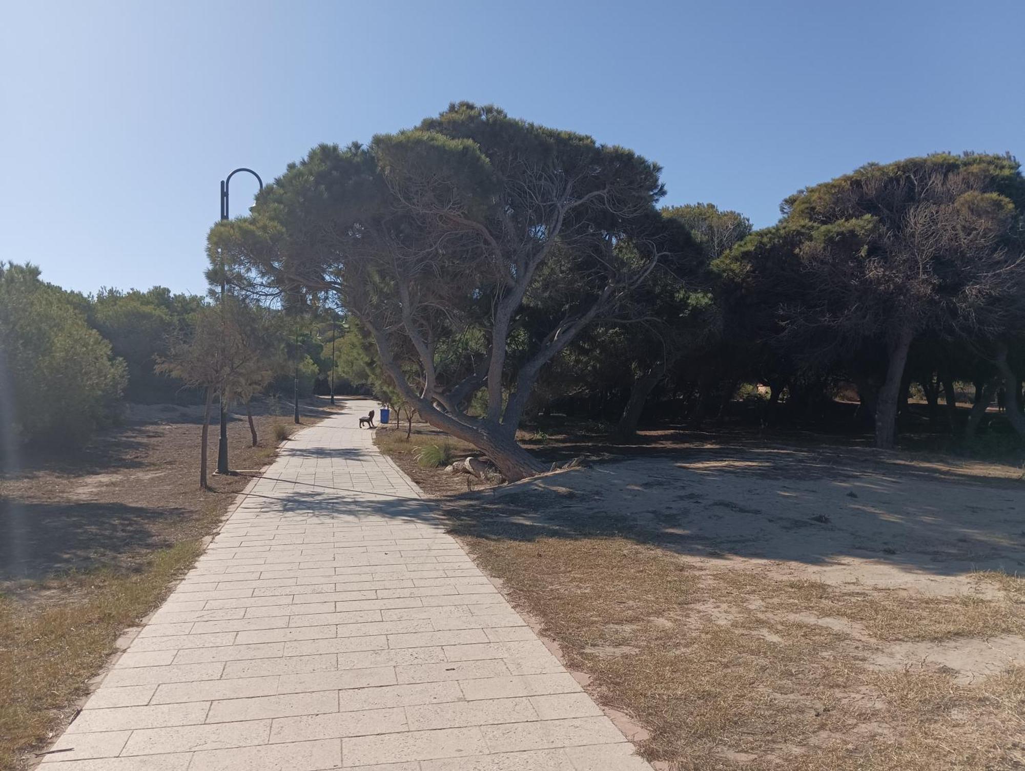 Bonito Apartamento 150 M De La Playa La Mata La Mata  Bagian luar foto