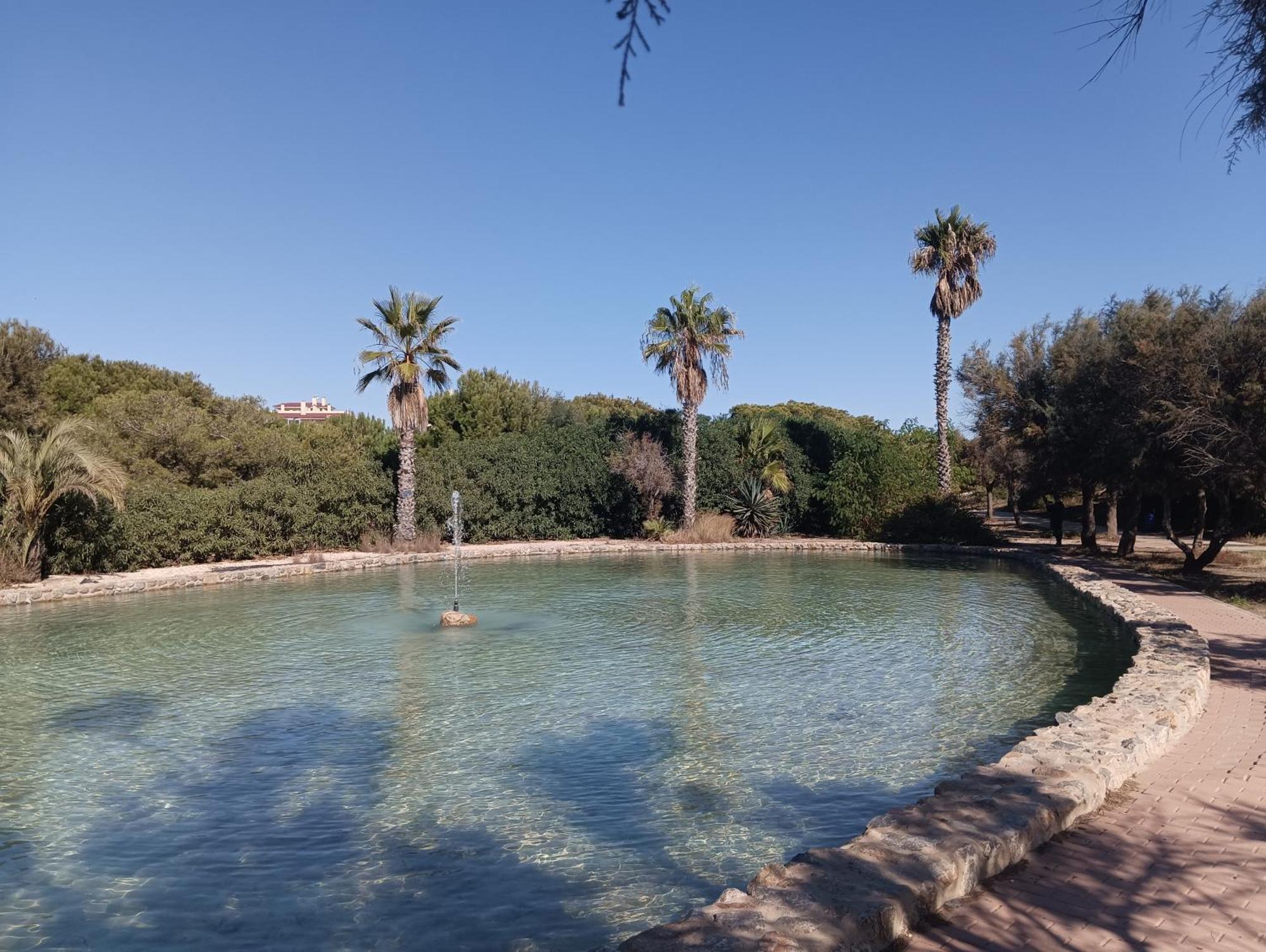 Bonito Apartamento 150 M De La Playa La Mata La Mata  Bagian luar foto