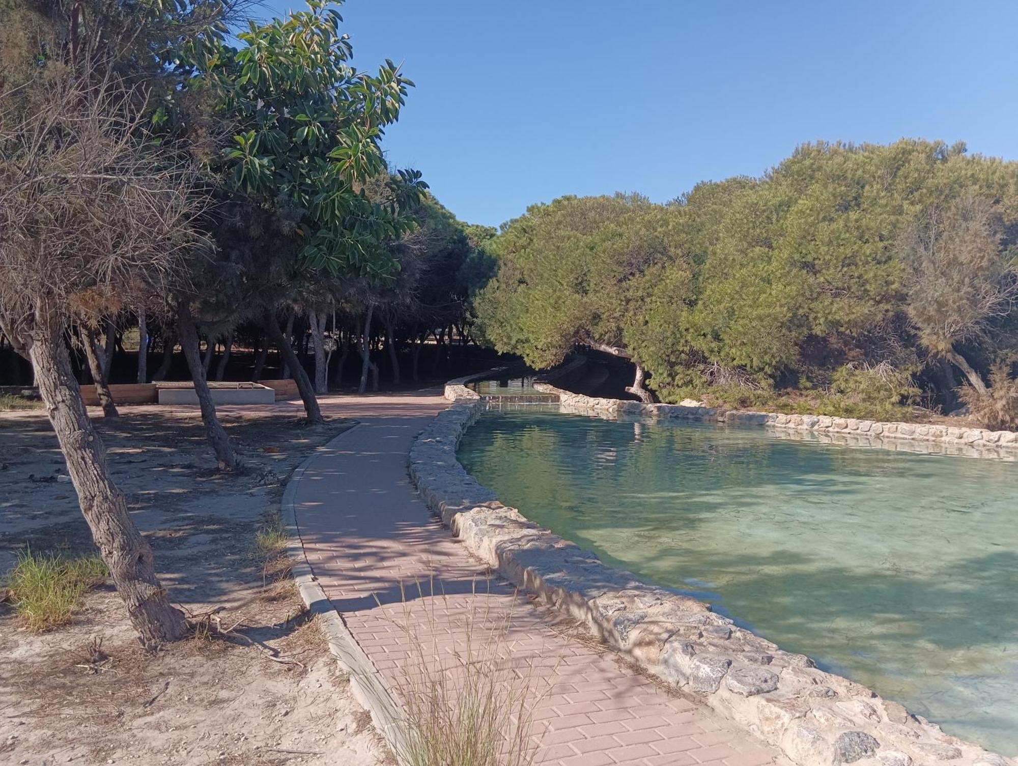 Bonito Apartamento 150 M De La Playa La Mata La Mata  Bagian luar foto